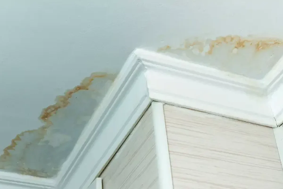 Water Damage Restoration — Water Damage project completed by GreenHouse Solutions in Southern California